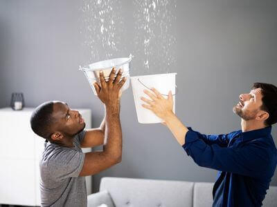 About Black Mold Removal Kingstowne - black mold removal experts in Kingstowne